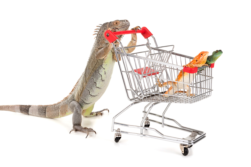 Buy on the Dip Prospects: October 1 Edition